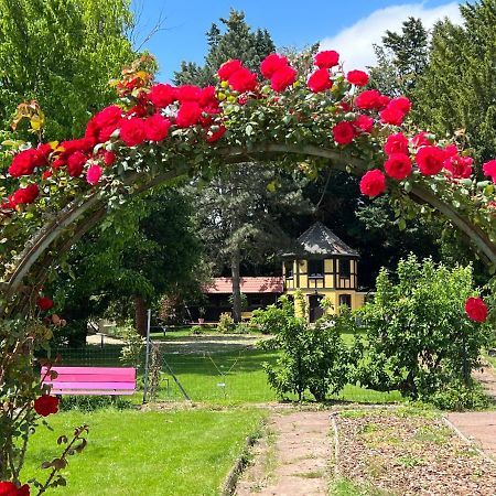 Le Parc Du Sequoia & Spa Proche Colmar Et Riquewihr Ostheim Eksteriør bilde