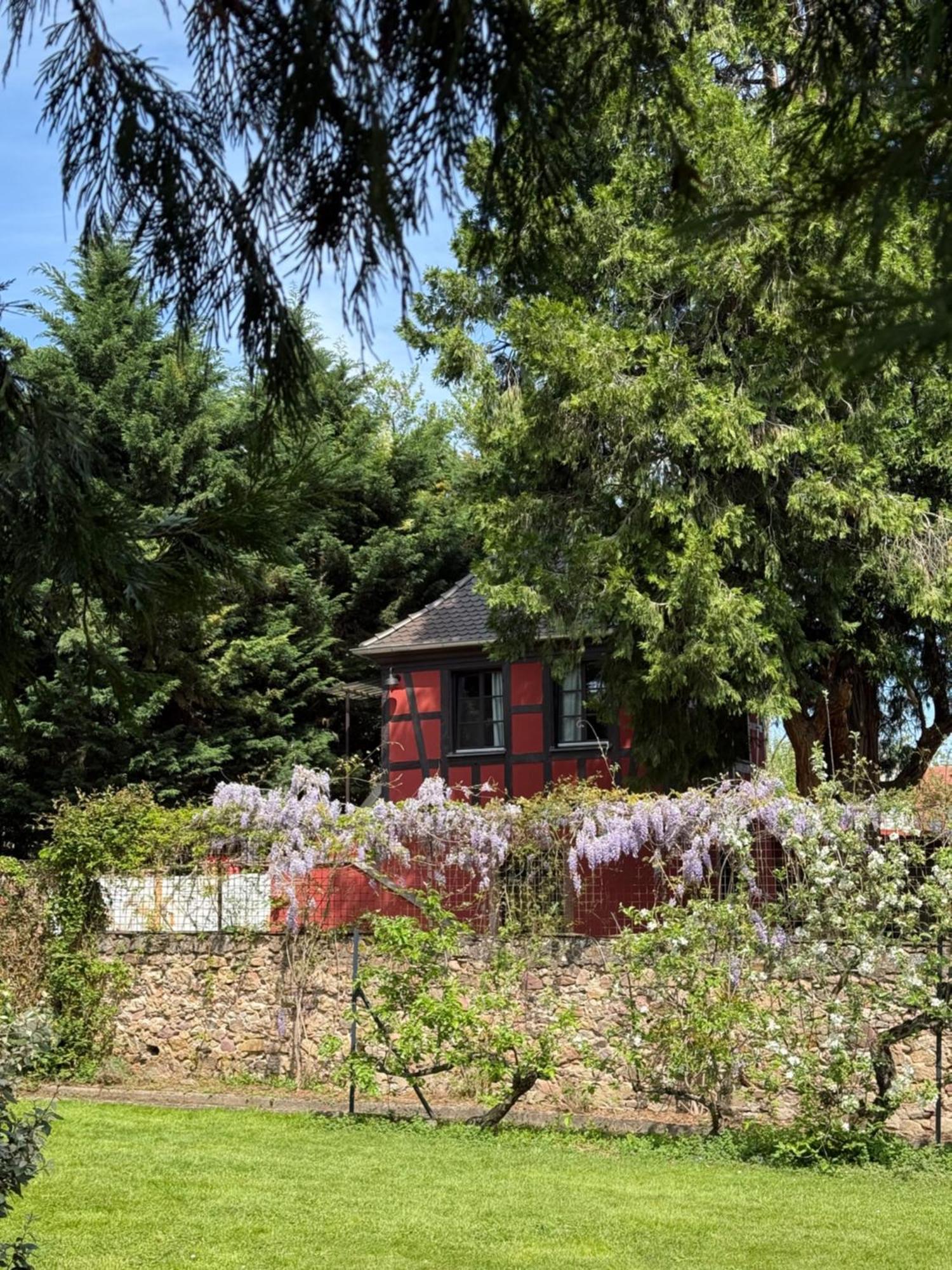 Le Parc Du Sequoia & Spa Proche Colmar Et Riquewihr Ostheim Eksteriør bilde